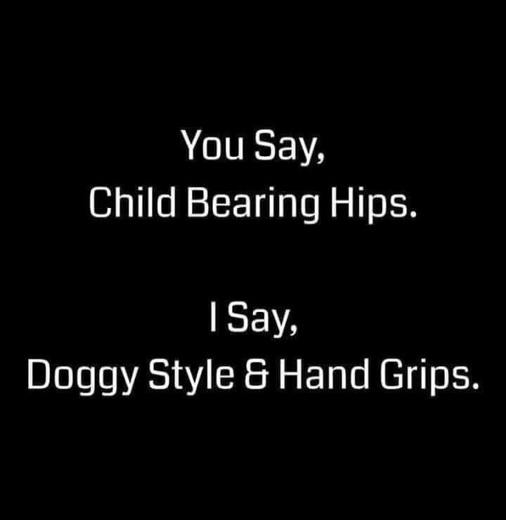 You Say,\nChild Bearing Hips.\nI Say,\nDoggy Style & Hand Grips.