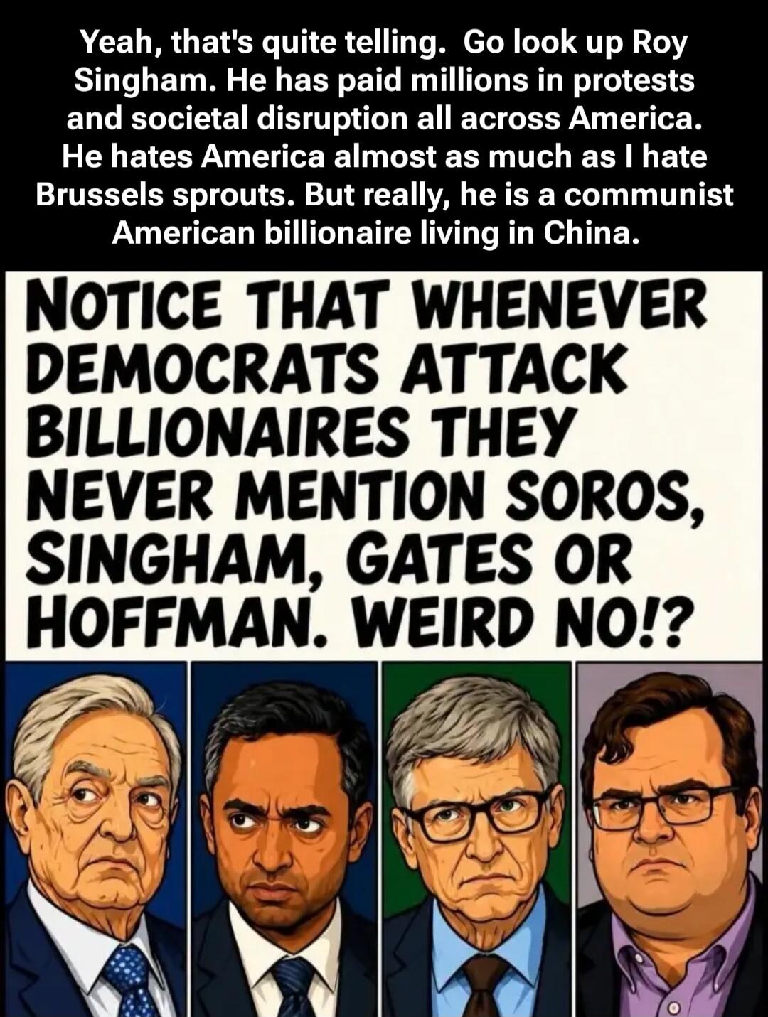Yeah, that's quite telling. Go look up Roy Singham. He has paid millions in protests and societal disruption all across America. He hates America almost as much as I hate Brussels sprouts. But really, he is a communist American billionaire living in China. NOTICE THAT WHENEVER DEMOCRATS ATTACK BILLIONAIRES THEY NEVER MENTION SOROS, SINGHAM, GATES O