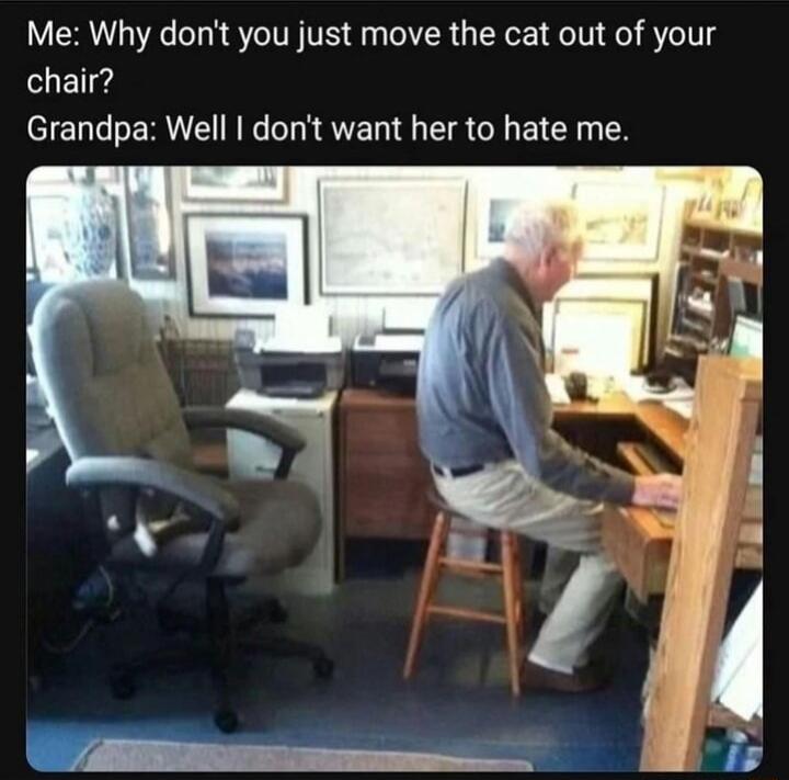 Me Why dont you just move the cat out of your chair Grandpa Well dont want her to hate me