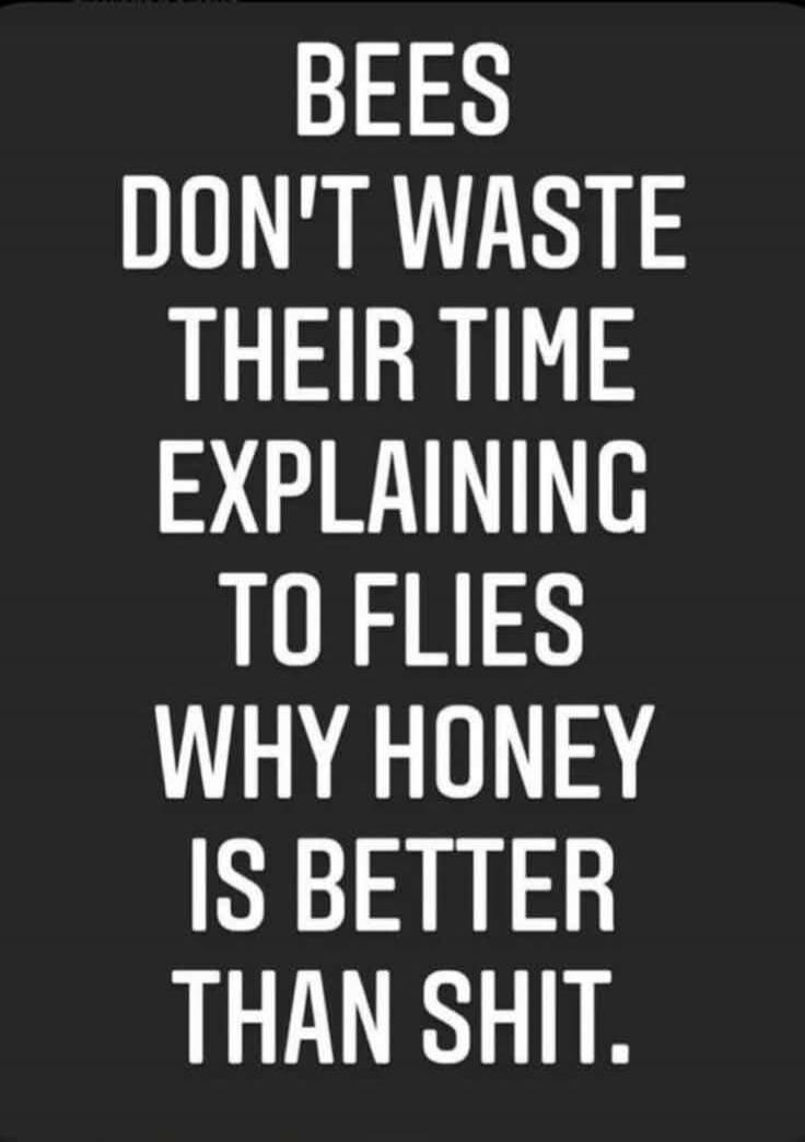 BEES DON'T WASTE THEIR TIME EXPLAINING TO FLIES WHY HONEY IS BETTER THAN SHIT.