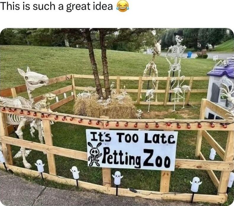 his is such a great idea T