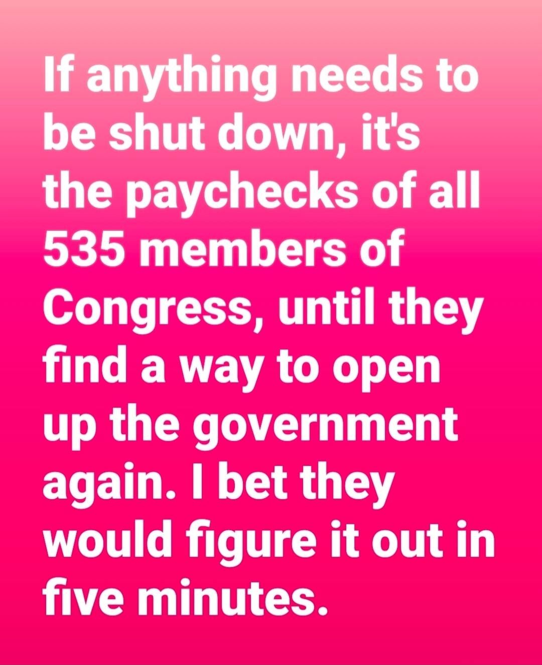 If anything needs to be shut down, it's the paychecks of all 535 members of Congress, until they find a way to open up the government again. I bet they would figure it out in five minutes.