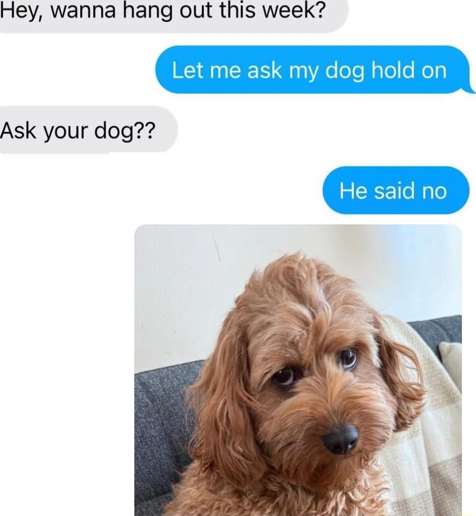 Hey, wanna hang out this week?
Let me ask my dog hold on
Ask your dog??
He said no