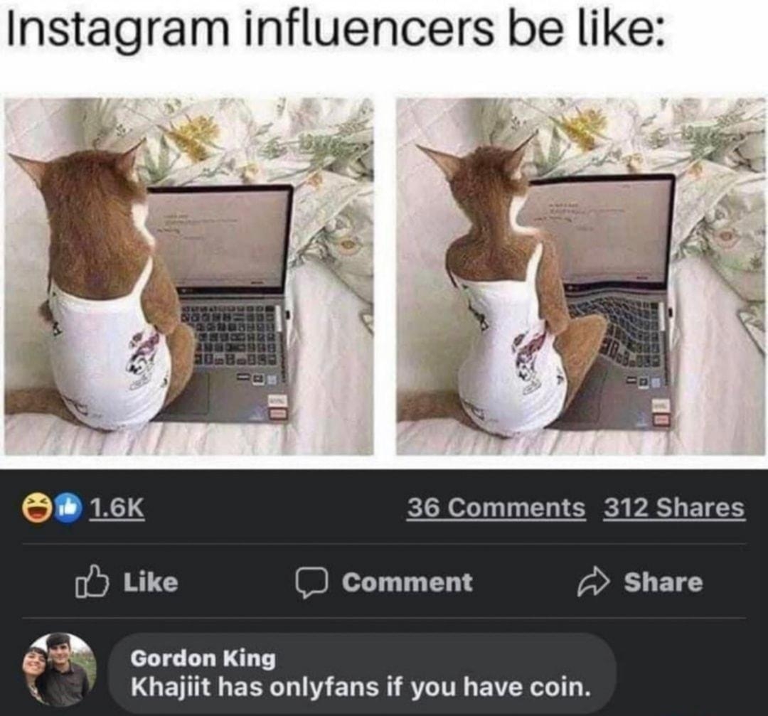 Instagram influencers be like 36 Comments 312 Shares D comment Share Gordon King Khaijiit has onlyfans if you have coin