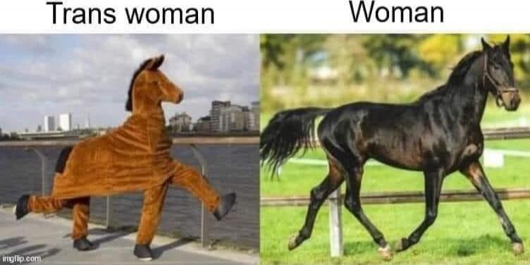 Trans woman versus Woman