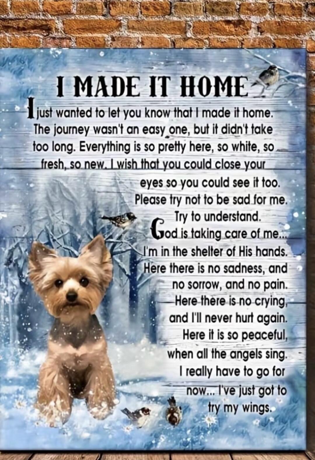 I MADE IT HOME
I just wanted to let you know that I made it home. The journey wasn't an easy one, but it didn't take too long. Everything is so pretty here, so white, so fresh, so new. I wish that you could close your eyes so you could see it too. Please try not to be sad for me. Try to understand. God is taking care of me... I'm in the shelter of 