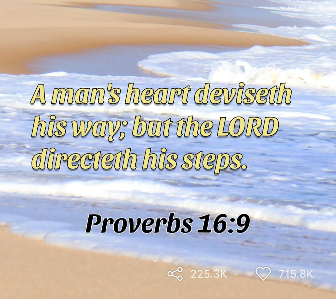 A man's heart deviseth his way; but the LORD directeth his steps. Proverbs 16:9