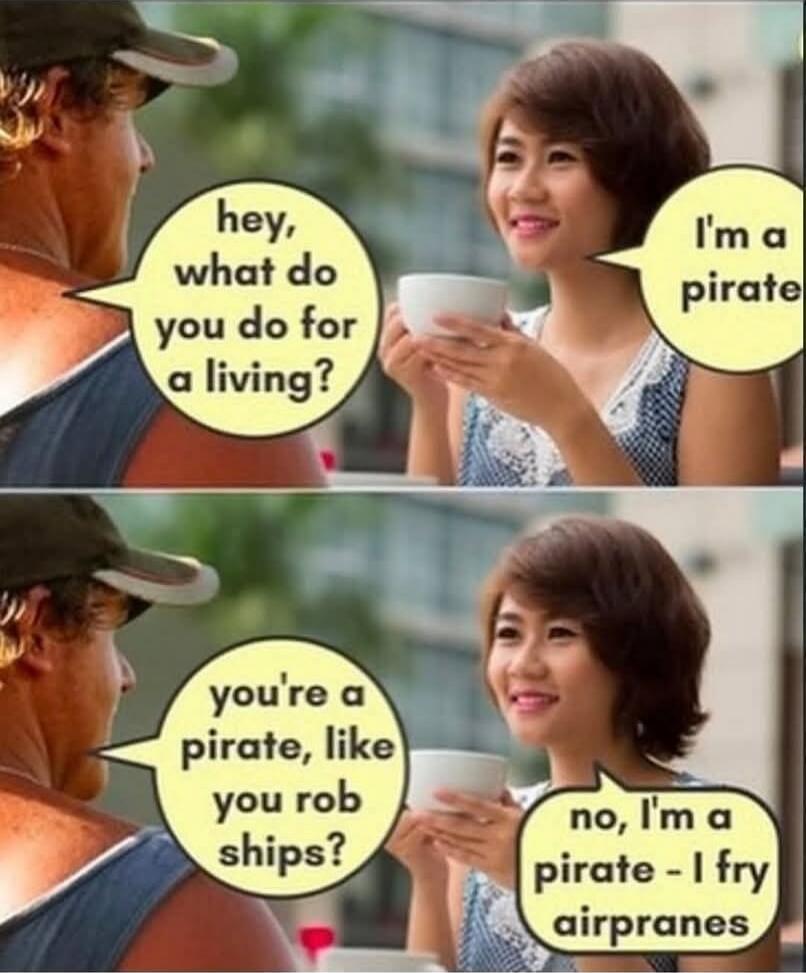 hey, what do you do for a living? I'm a pirate. you're a pirate, like you rob ships? no, I'm a pirate - I fry airplanes
