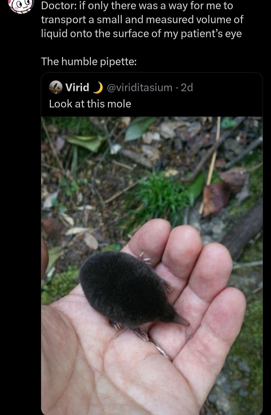 27 Doctorif only there was a way for me to transport a small and measured volume of liquid onto the surface of my patients eye The humble pipette virid viriditasium 2d Look at this mole