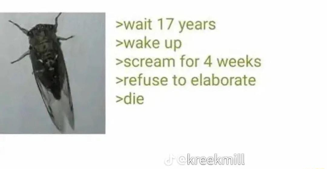 wait 17 years wake up scream for 4 weeks refuse to elaborate die