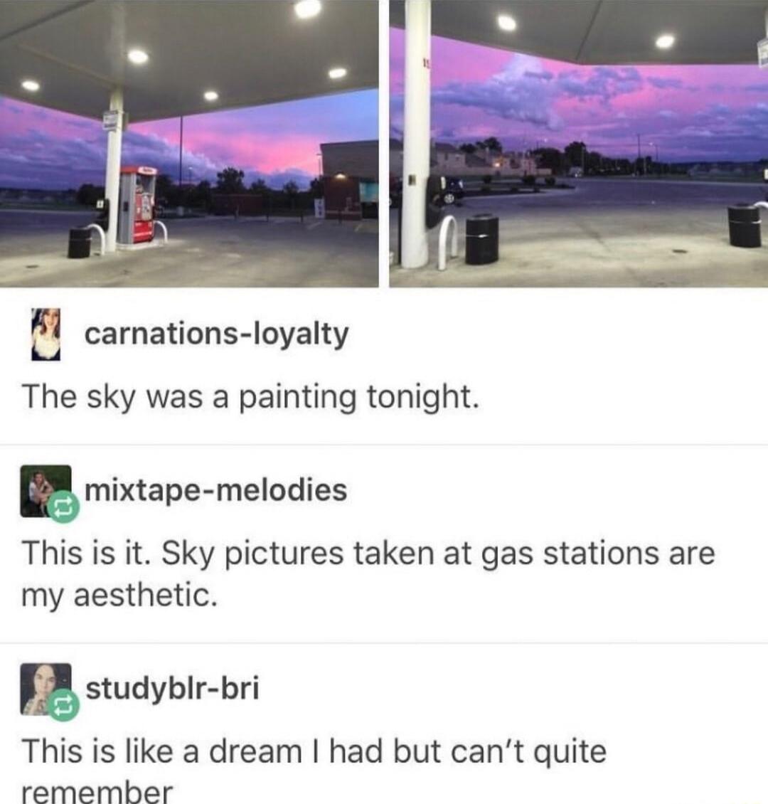 m carnations loyalty The sky was a painting tonight mixtape melodies This is it Sky pictures taken at gas stations are my aesthetic gstudyhlr bri This is like a dream had but cant quite remember