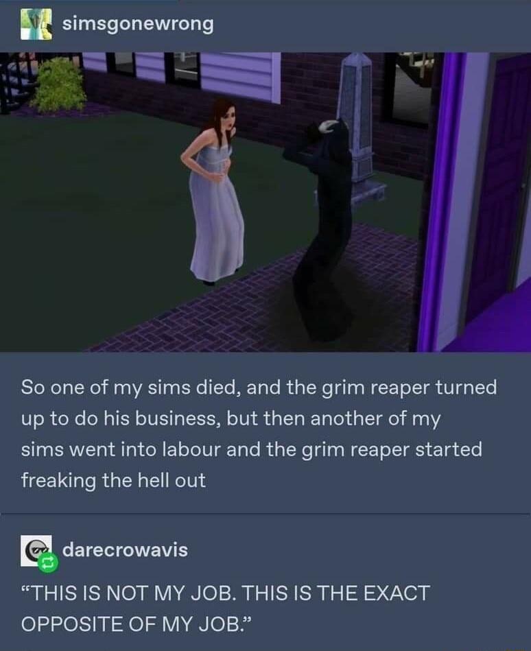 l simsgonewrong LT l v So one of my sims died and the grim reaper turned up to do his business but then another of my sims went into labour and the grim reaper started freaking the hell out R THIS IS NOT MY JOB THIS IS THE EXACT OPPOSITE OF MY JOB