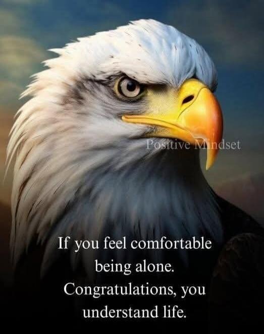 Positive Mindset If you feel comfortable being alone. Congratulations, you understand life.