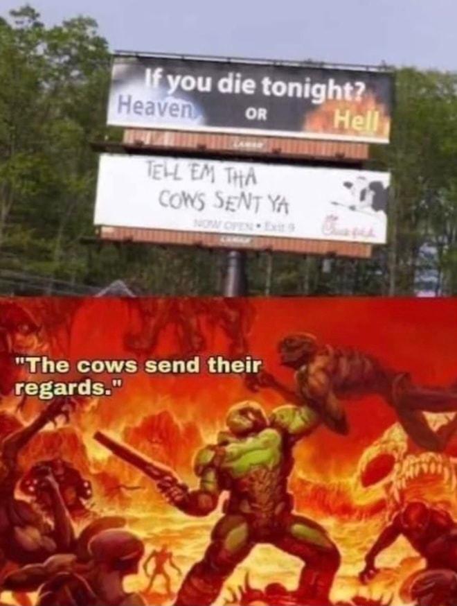 The cows send their regards