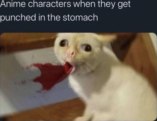 Anime characters when they get punched in the stomach
