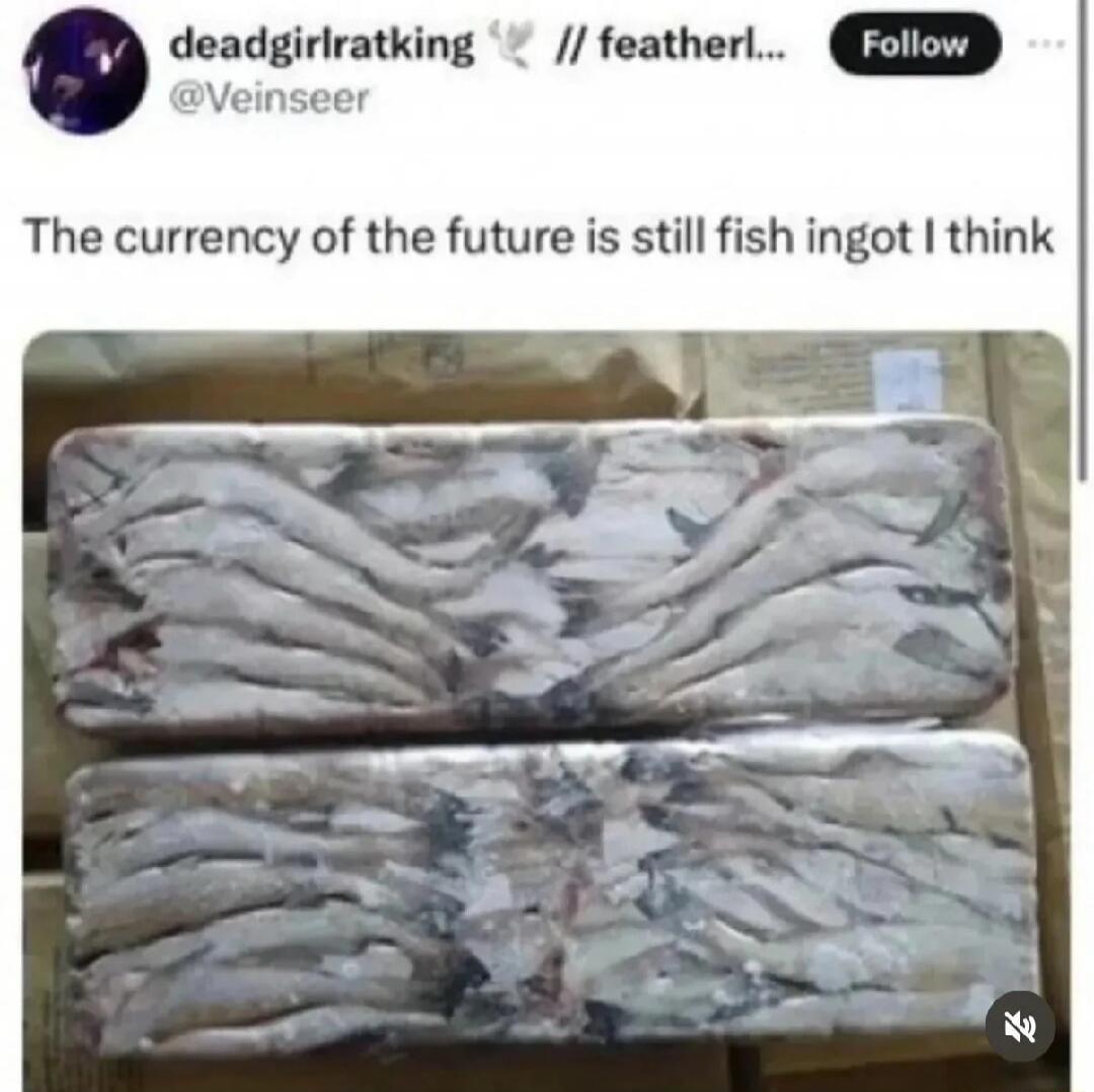 The currency of the future is still fish ingot I think