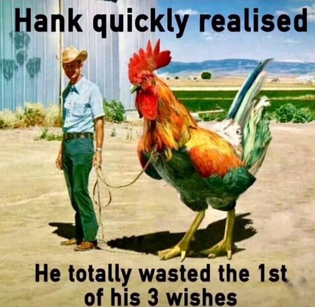 Hank quickly realised He totally wasted the 1st of his 3 wishes
