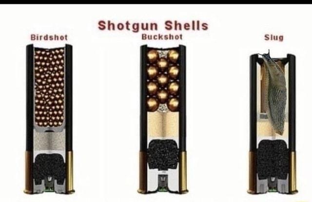 Shotgun Shells Birdshot Buckshot