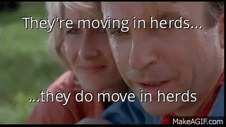 fiey do move in herds MakeAGIFcom