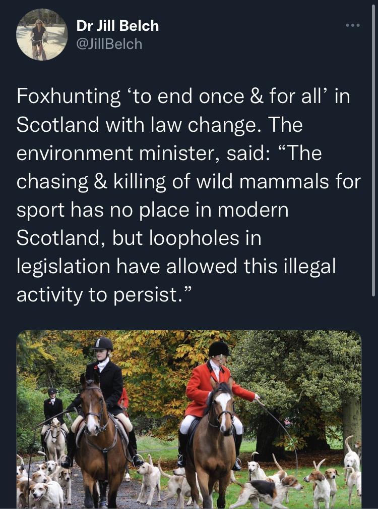 Dr Jill Belch illBelch ZXGIVTailaf R oRToTe Nolaler RR oTdr1 MM Ts Scotland with law change The environment minister said The chasing killing of wild mammals for Selelgdla R loN el ETetNTaNnalele Ts SielelifzTgle MW dloTe o aTe CERTa legislation have allowed this illegal activity to persist