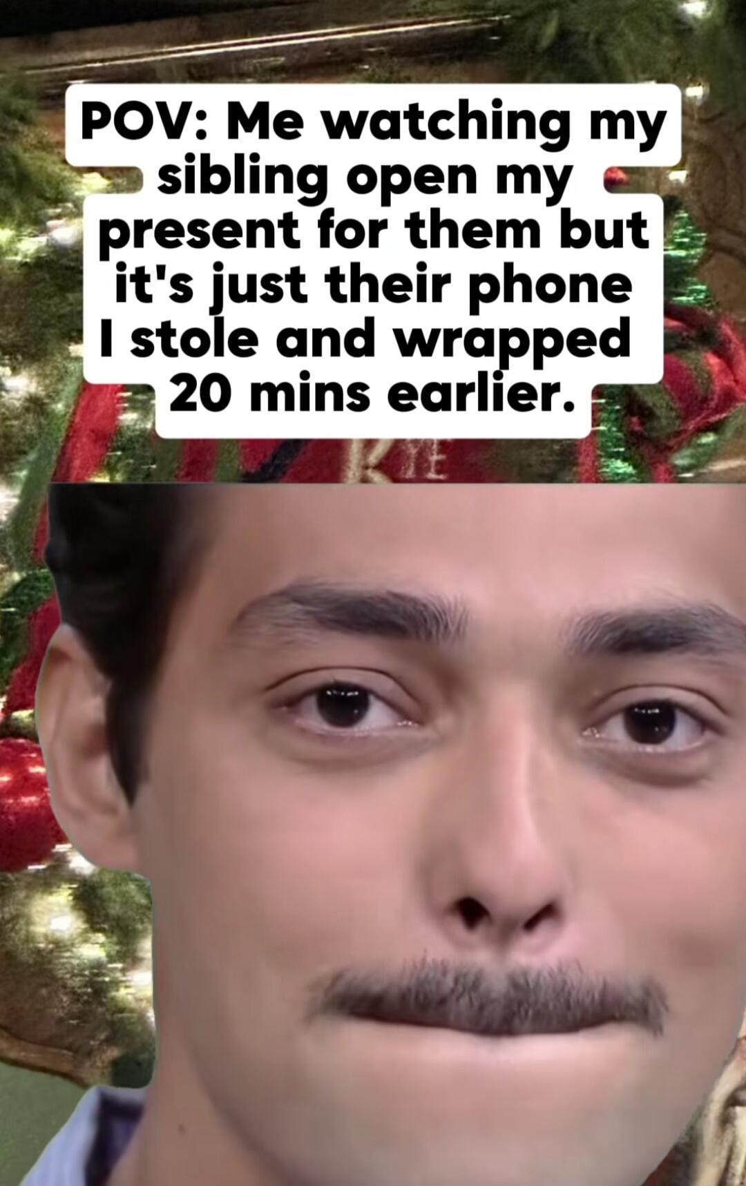 POV: Me watching my sibling open my present for them but it's just their phone I stole and wrapped 20 mins earlier.