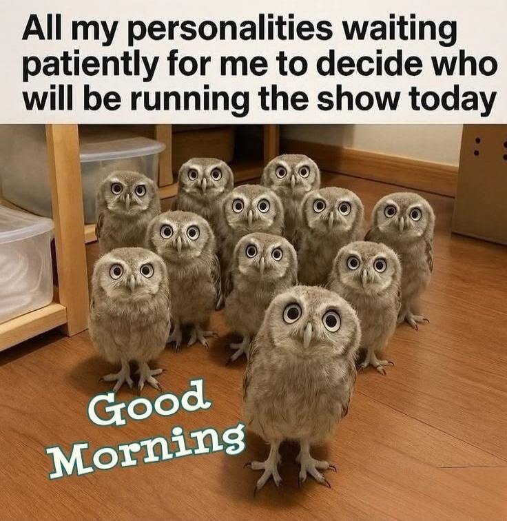 All my personalities waiting patiently for me to decide who will be running the show today Good Morning