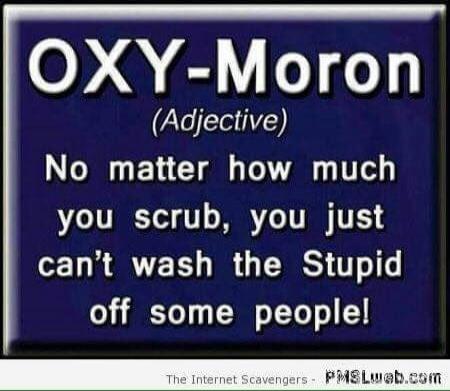 OXY-Moron (Adjective) No matter how much you scrub, you just can't wash the Stupid off some people!