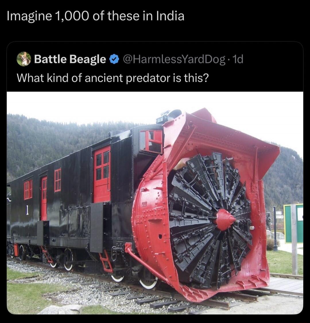 Imagine 1,000 of these in India. Battle Beagle @HarmlessYardDog 1d. What kind of ancient predator is this?
