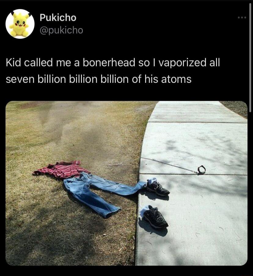 Pukicho Dpukicho Kid called me a bonerhead so vaporized all seven billion billion billion of his atoms