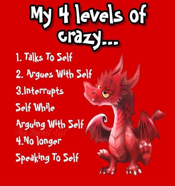 My 4 levels of crazy...
1. Talks To Self
2. Argues With Self
3. Interrupts Self While
Arguing With Self
4. No longer Speaking To Self