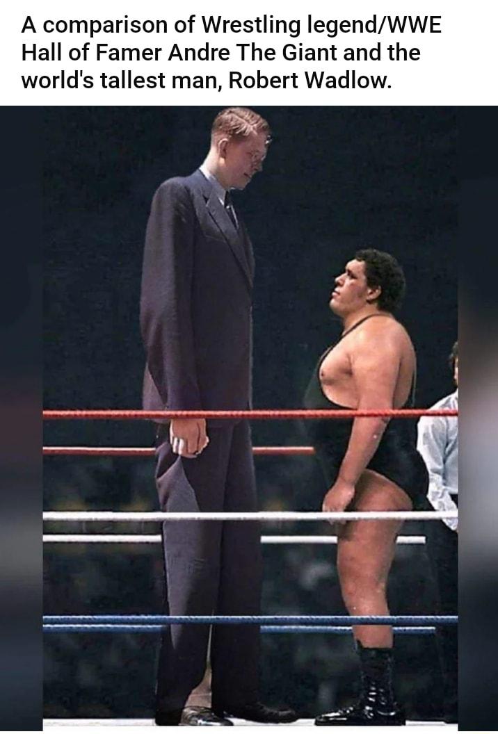 A comparison of Wrestling legendWWE Hall of Famer Andre The Giant and the worlds tallest man Robert Wadlow