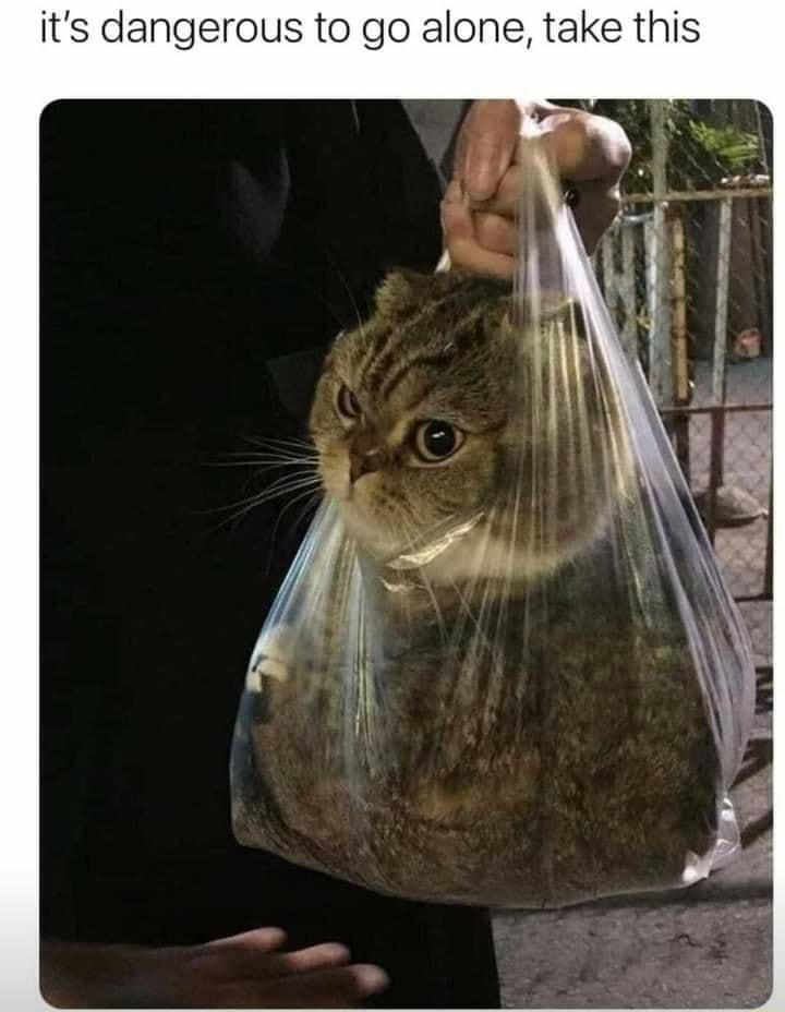 its dangerous to go alone take this
