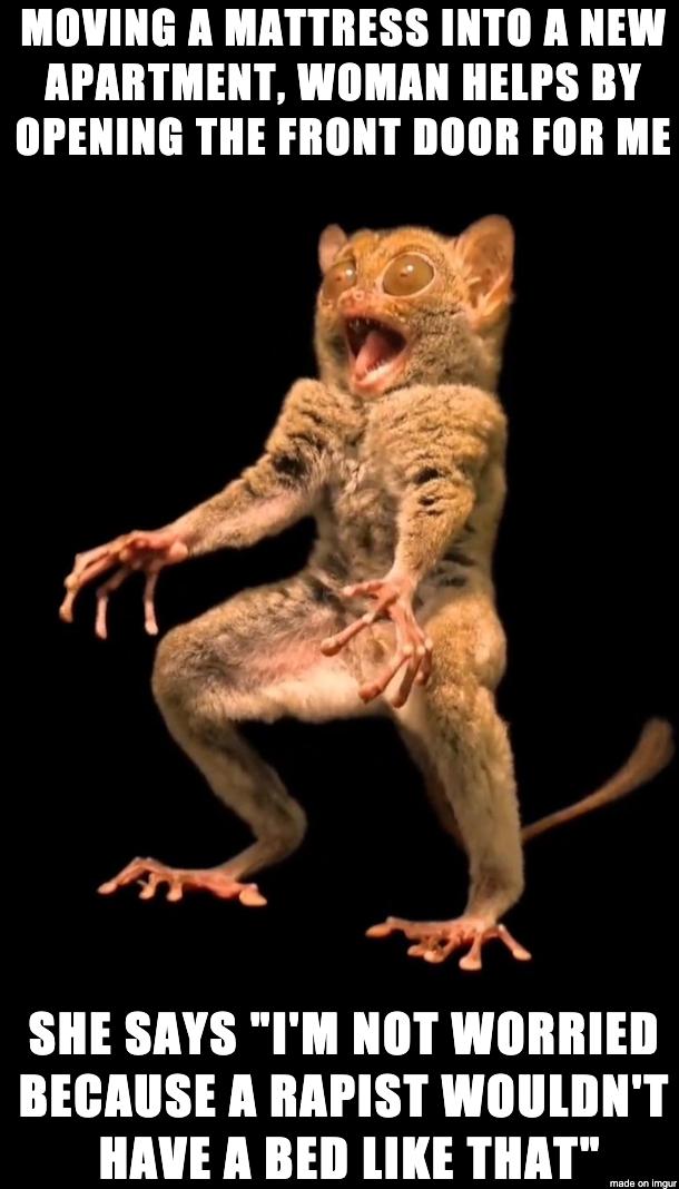 MOVING R MATTRESS INTO A NEW APARTMENT WOMAN HELPS BY OPENING THE FRONT DOOR FOR ME SHE SAYS IM NOT WORRIED BECAUSE A RAPIST WOULDNT HAVE A BED LIKE THAT