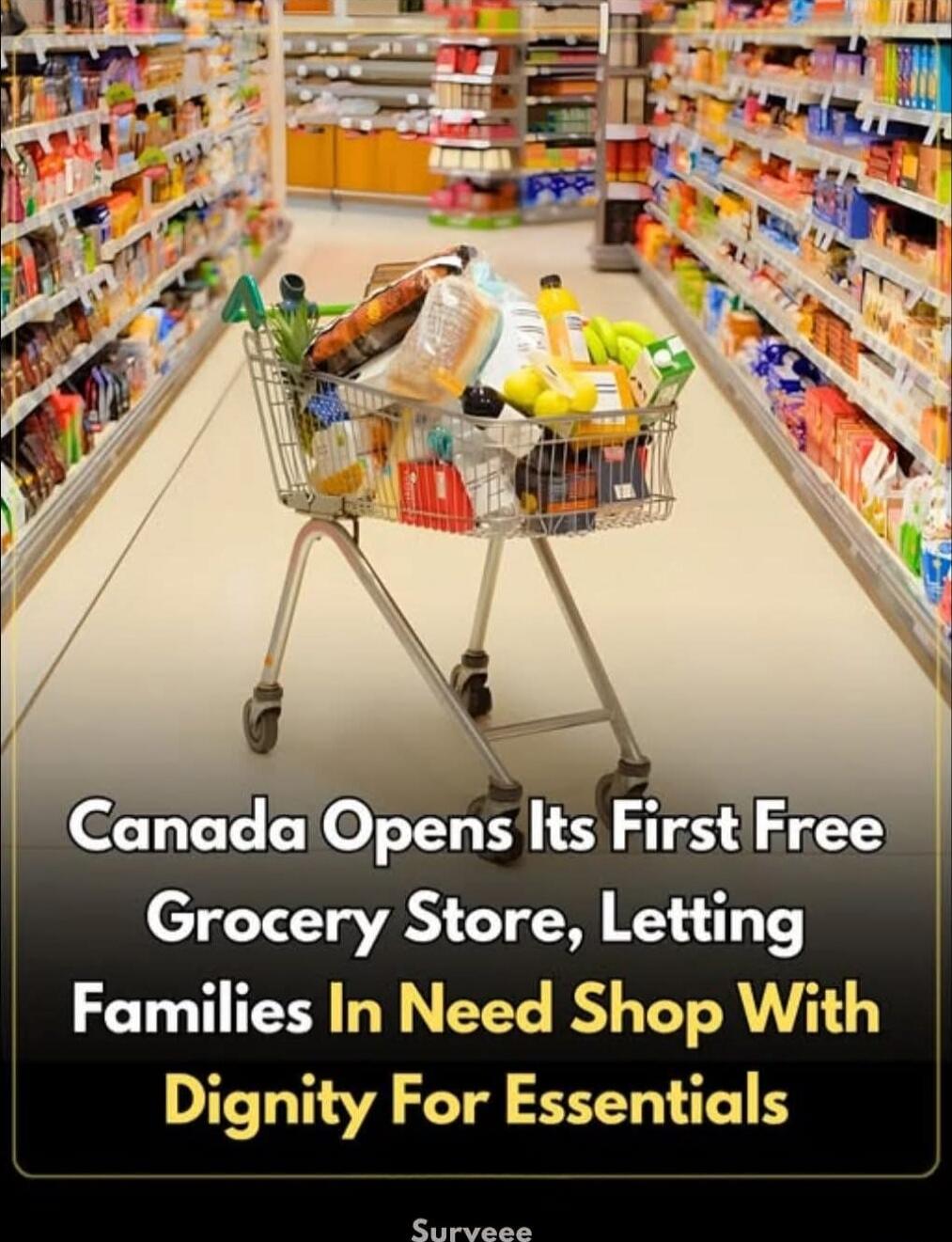 Canada Opens Its First Free Grocery Store, Letting Families In Need Shop With Dignity For Essentials