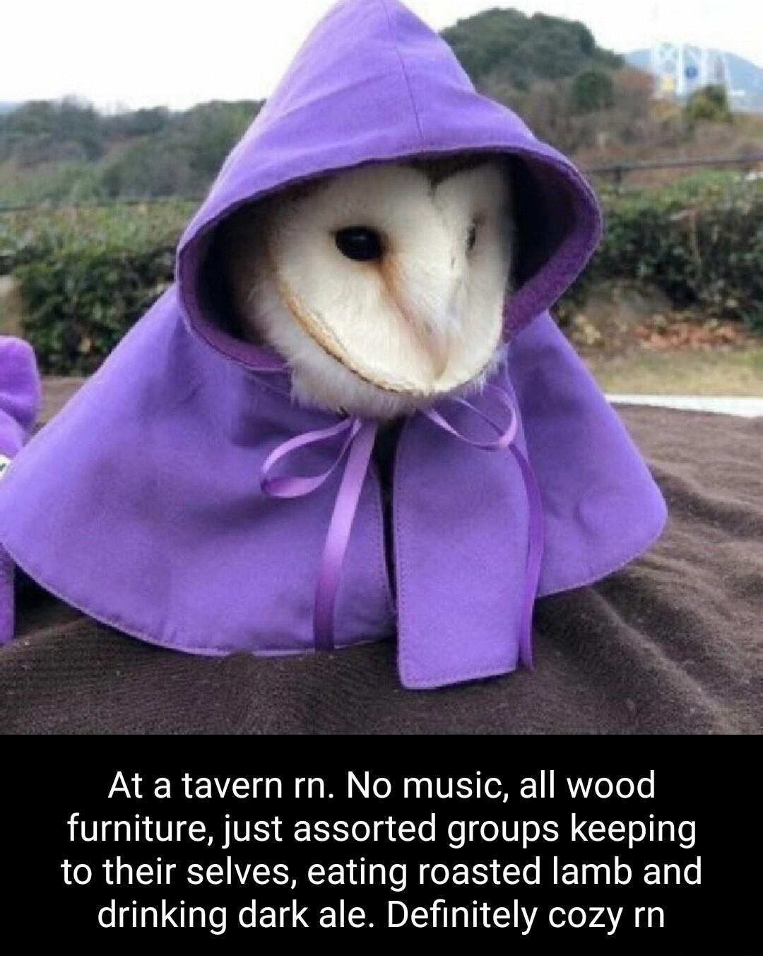At a tavern rn No music all wood furniture just assorted groups keeping to their selves eating roasted lamb and drinking dark ale Definitely cozy rn