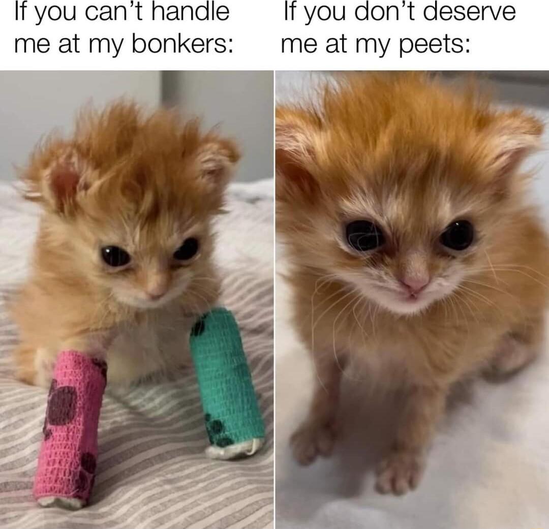 you cant handle you don me at my bonker me at my peets