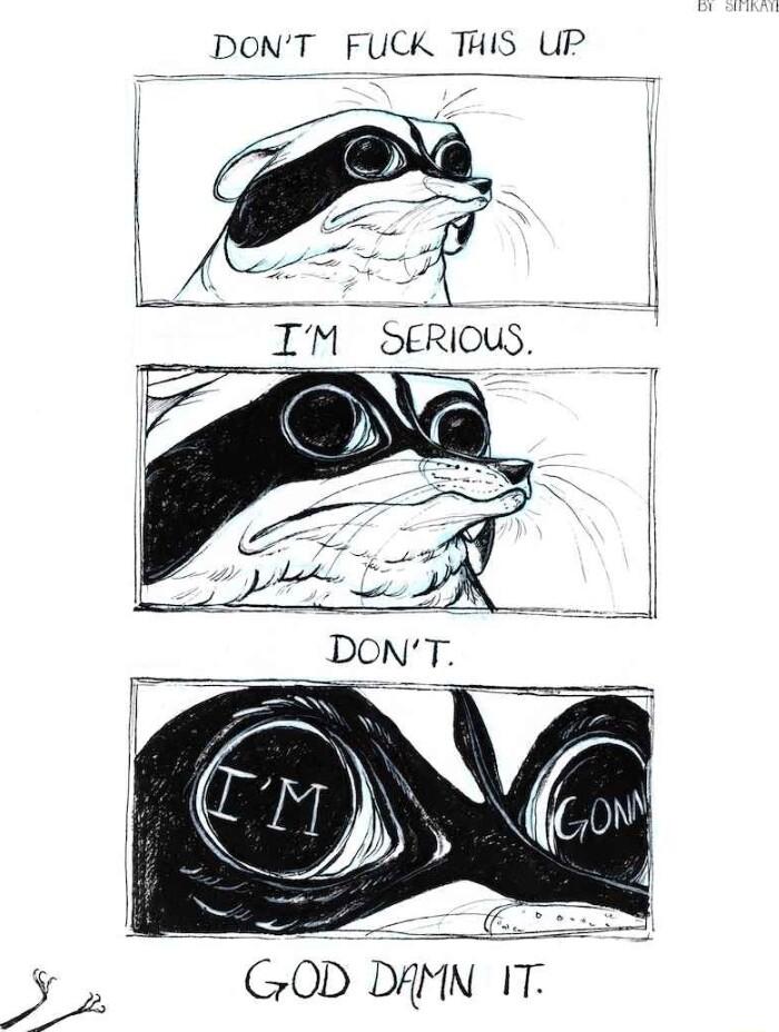 DONT FUCK THIS UP