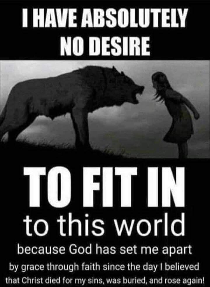 I HAVE ABSOLUTELY NO DESIRE TO FIT IN to this world because God has set me apart by grace through faith since the day I believed that Christ died for my sins, was buried, and rose again!