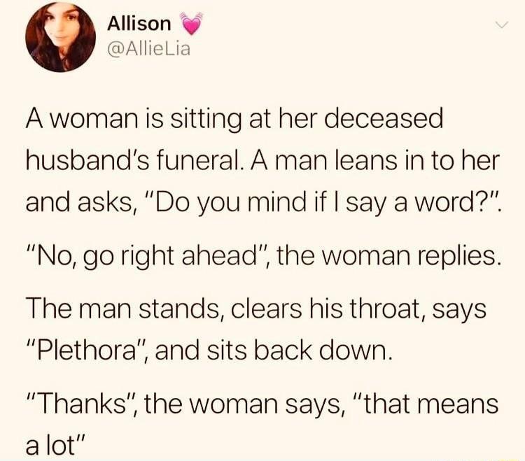 Allison AllieLia A woman is sitting at her deceased husbands funeral A man leans in to her and asks Do you mind if say a word No go right ahead the woman replies The man stands clears his throat says Plethora and sits back down Thanks the woman says that means alot