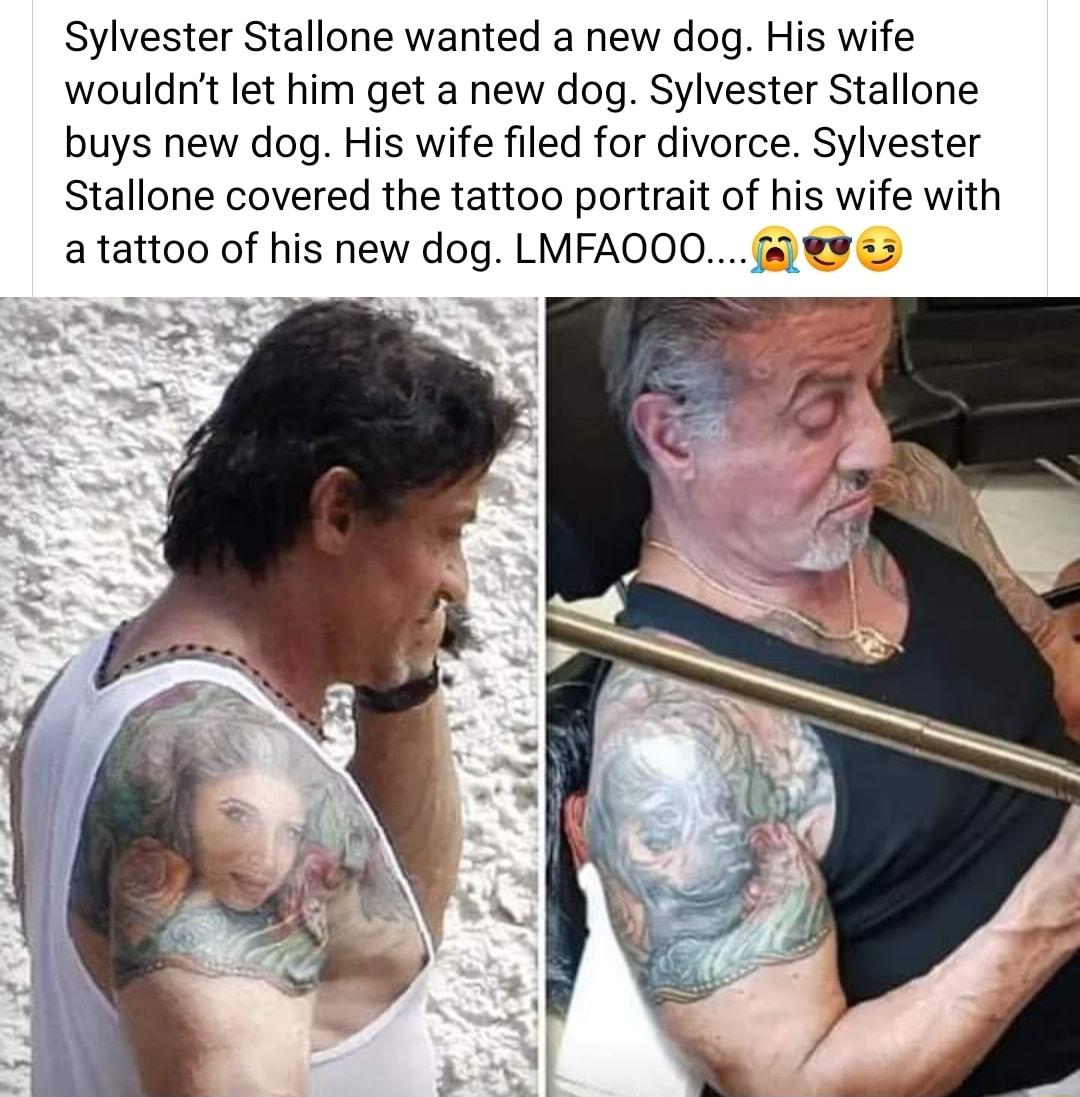 Sylvester Stallone wanted a new dog His wife wouldnt let him get a new dog Sylvester Stallone buys new dog His wife filed for divorce Sylvester Stallone covered the tattoo portrait Of hS wife with a tattoo of his new dog LMFAQQO fa