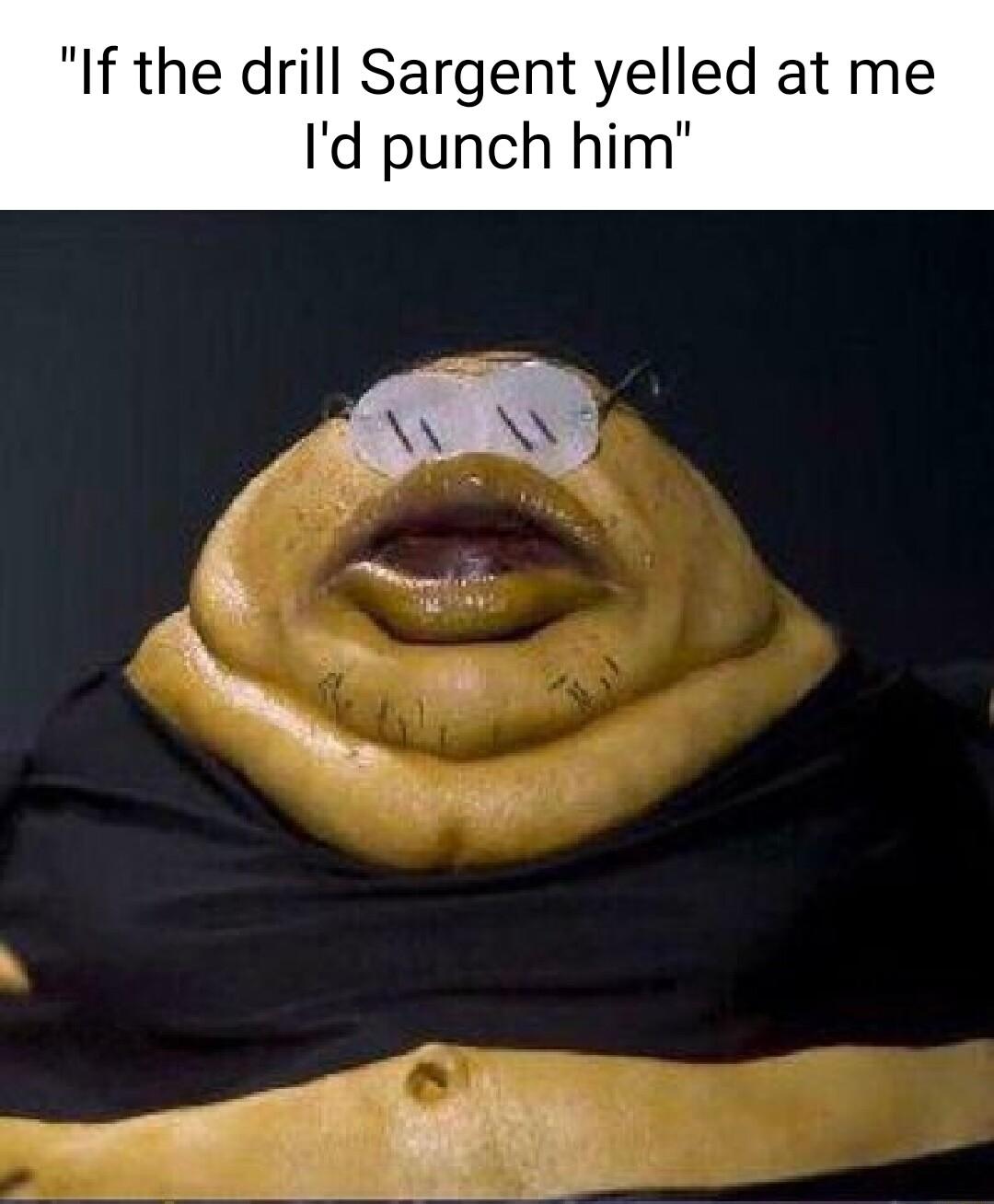 If the drill Sargent yelled at me Id punch him