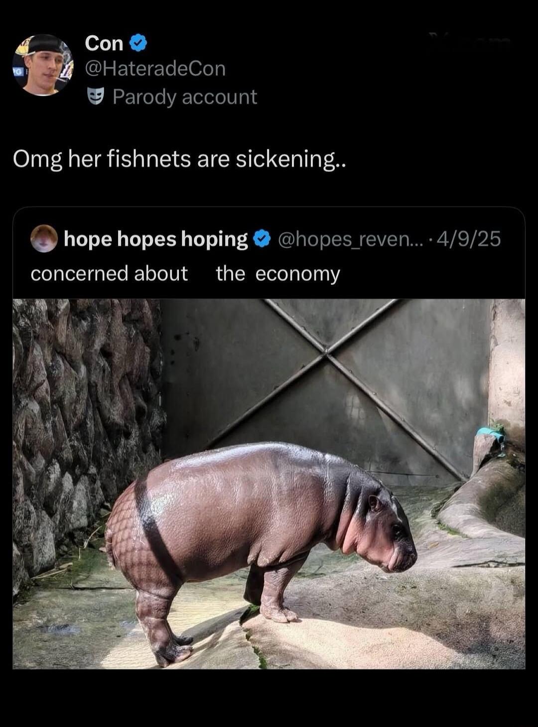 Con @HateradeCon Parody account. Omg her fishnets are sickening.. hope hopes hoping @hopes_reven... 4/9/25 concerned about the economy. The image shows a baby hippo with a pattern on its rear that humorously resembles fishnet stockings.