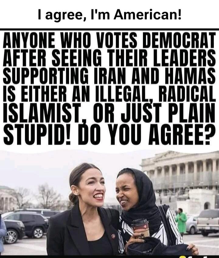 I agree, I'm American! ANYONE WHO VOTES DEMOCRAT AFTER SEEING THEIR LEADERS SUPPORTING IRAN AND HAMAS IS EITHER AN ILLEGAL, RADICAL ISLAMIST, OR JUST PLAIN STUPID! DO YOU AGREE?
