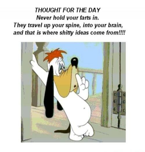 THOUGHT FOR THE DAY Never hold your farts in. They travel up your spine, into your brain, and that is where shitty ideas come from!!!!