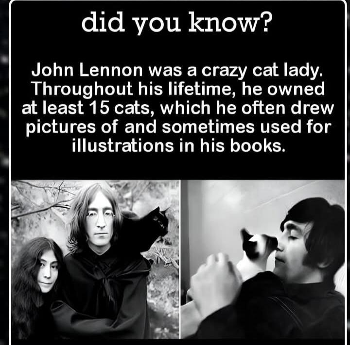 did you know? John Lennon was a crazy cat lady. Throughout his lifetime, he owned at least 15 cats, which he often drew pictures of and sometimes used for illustrations in his books.