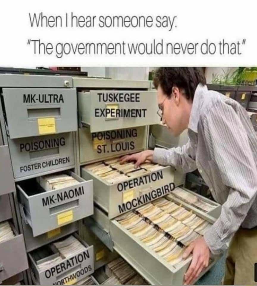 When hear someone say The government would never do that