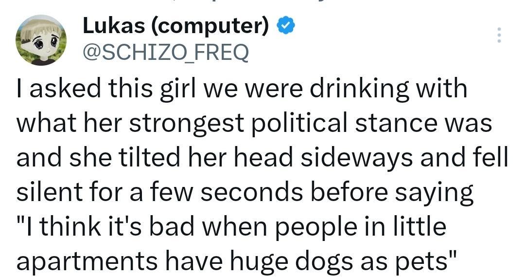 Lukas computer SCHIZO FREQ I asked this girl we were drinking with what her strongest political stance was and she tilted her head sideways and fell silent for a few seconds before saying I think its bad when people in little apartments have huge dogs as pets
