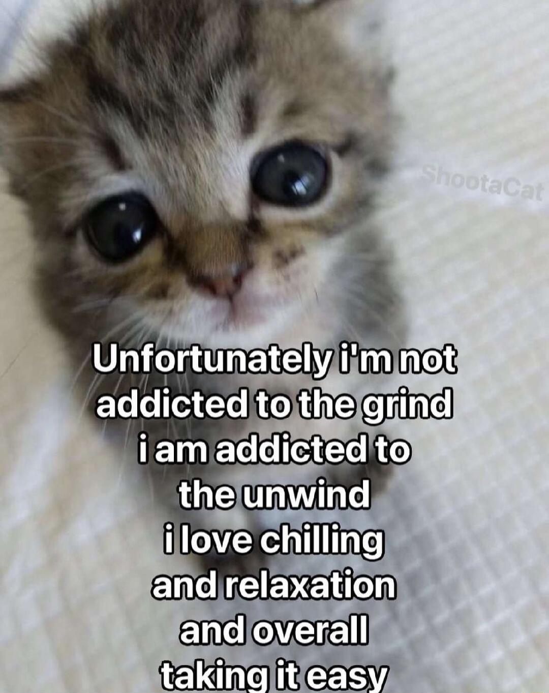 S ddictedtojthelgrind Sndoverall ECIRCESY