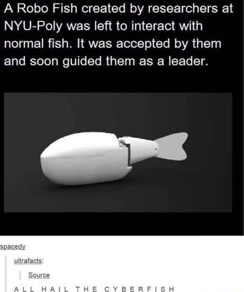 A Robo Fish created by researchers at NYU Poly was left to interact with normal fish It was accepted by them Ll RTeTelg Mo VITeTe R iaTTo R WIE To T 0