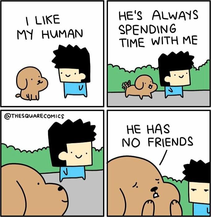 LIKE MY HUMAN HES ALWAYS SPENDING TIME WITH ME HE HAS NO FRIENDS VA X